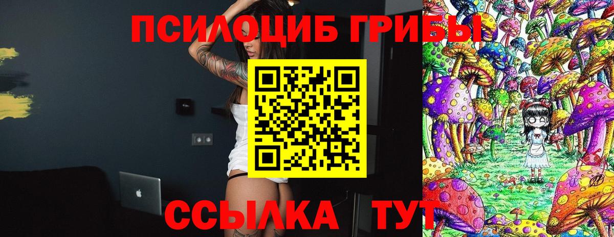 Грязи  Псилоцибиновые грибы GOLDEN TEACHER  Вход с VPN  Галлюциногенные грибы Cubensis 